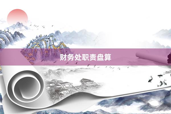 财务处职责盘算