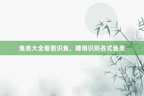 鱼类大全看图识鱼，糟塌识别各式鱼类