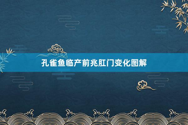 孔雀鱼临产前兆肛门变化图解